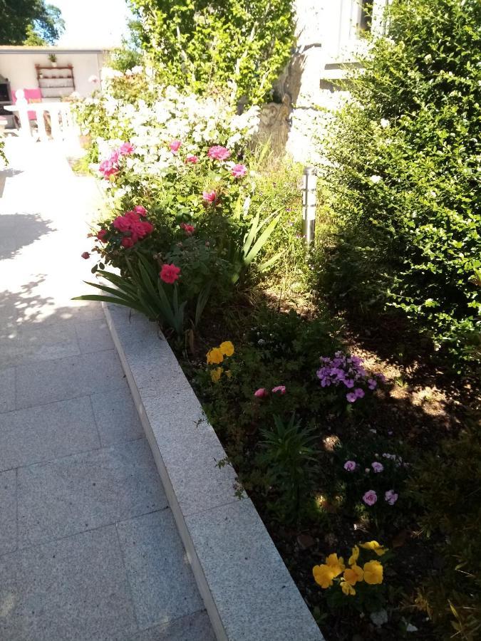 Vivenda Carvalhas Homestay