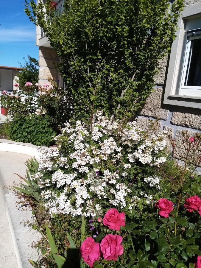 Homestay Vivenda Carvalhas